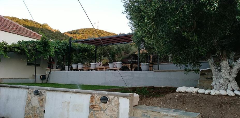 Villa Alexandra Nea Iraklitsa Exteriér fotografie